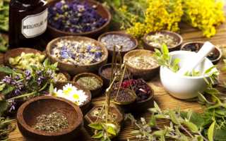 Какие травы помогают от поноса взрослым и детям?