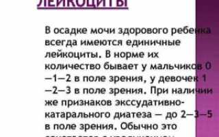 Лейкоциты в моче у ребенка в норме