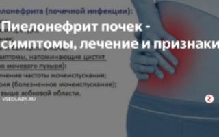 Ломит почки при простуде — причины