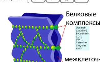 Гематоофтальмический барьер