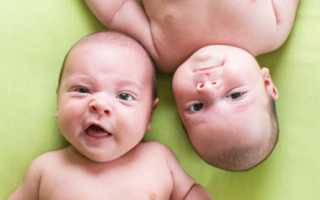 Близнецы и двойняшки: есть ли разница и в чем она