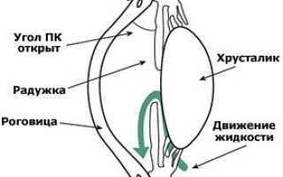 Первичная открытоугольная глаукома