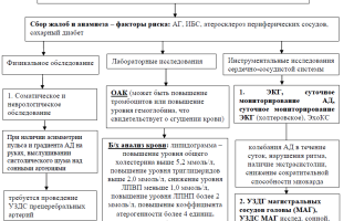 Все о хронической ишемии мозга