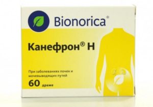 Какое лекарство хорошее для почек