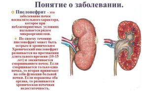 Воспаление левой почки причины
