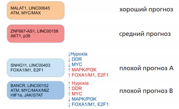 Прогнозы молекулярных подтипов увеальной меланомы