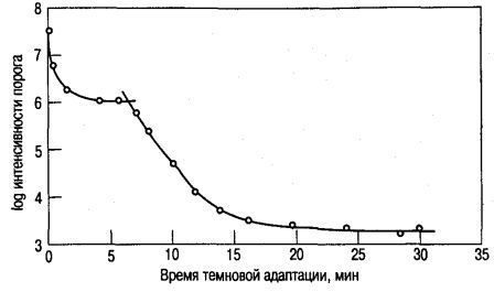 Типичная кривая темновой адаптации
