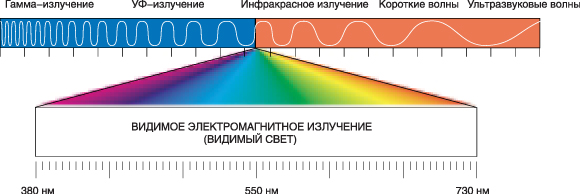 Видимая часть спекта