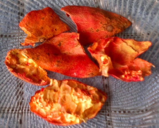 Гранатовые корки Гранатовые корки