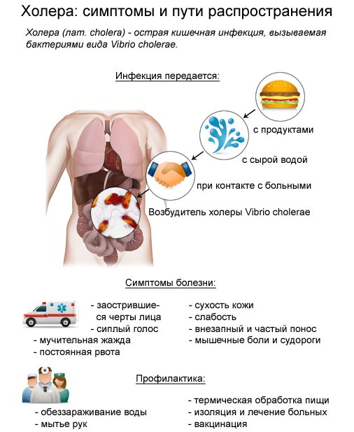 Холера Холера