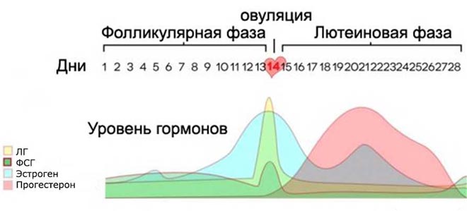 Рост уровня гормонов рост гормонов