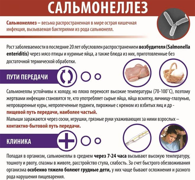 Сальмонеллез Сальмонеллез
