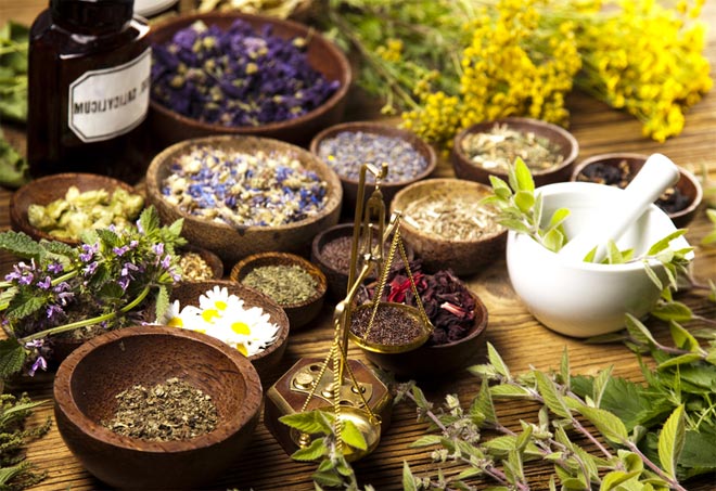 Травы травы от поноса